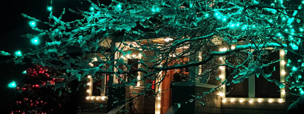 Christmas Lights Installation on Trees